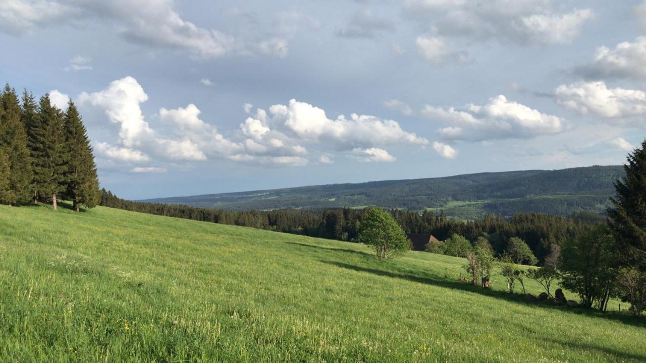 Ferienwohnung Zur Alten Schmiede レンツキルヒ エクステリア 写真